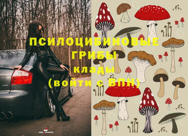 спиды Алексин