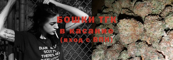 гашик Алексеевка