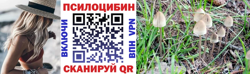 Галлюциногенные грибы мицелий  ОМГ ОМГ маркетплейс  Алзамай 